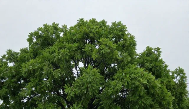 运维服务:网站建设使用与维护建议