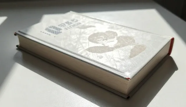 成果转化等:应用中的常见误区与优化策略